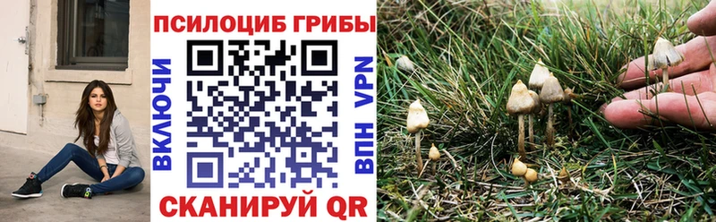 Купить где  Соль-Илецк  Псилоцибиновые грибы Magic Shrooms 
